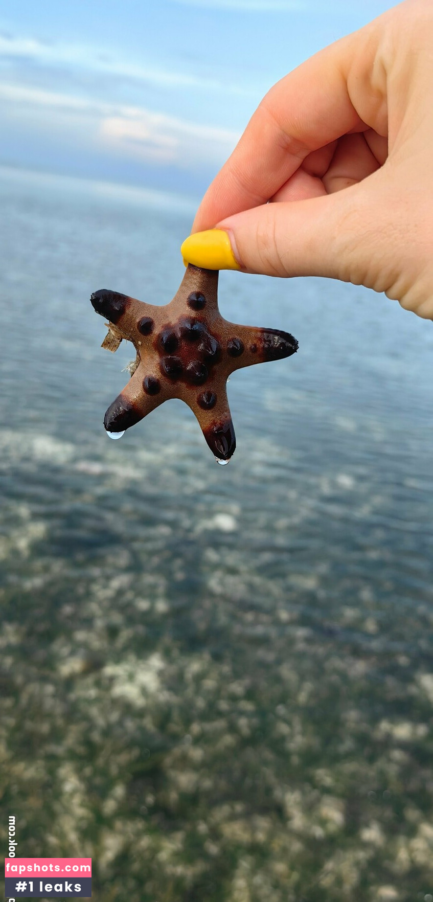 Lionrynn gallery photo #11