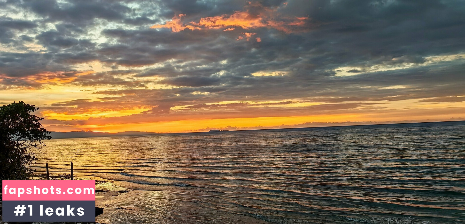 Lionrynn gallery photo #25