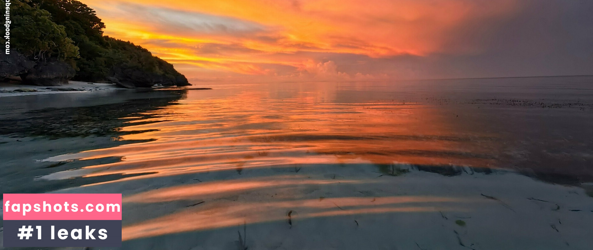 Lionrynn gallery photo #26