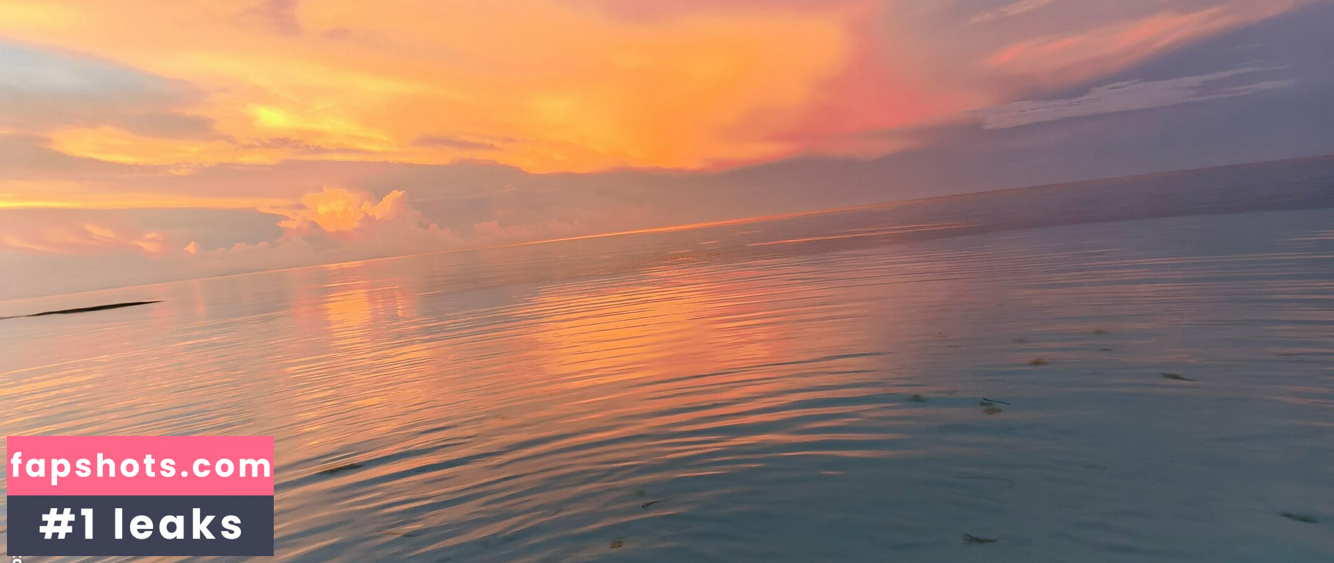 Lionrynn gallery photo #33