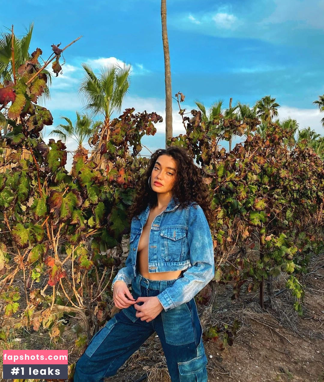 Liraz Nomdar gallery photo #29