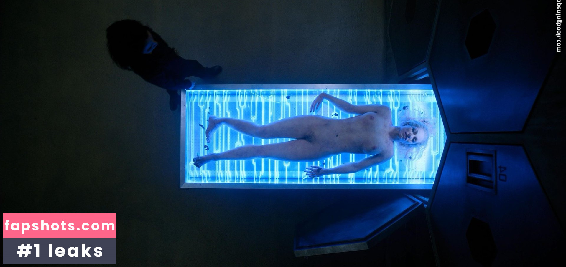 Lisa Chandler gallery photo #13