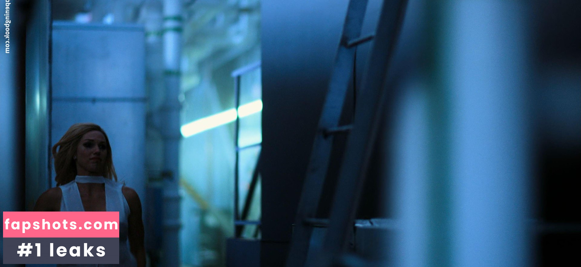 Lisa Chandler gallery photo #16