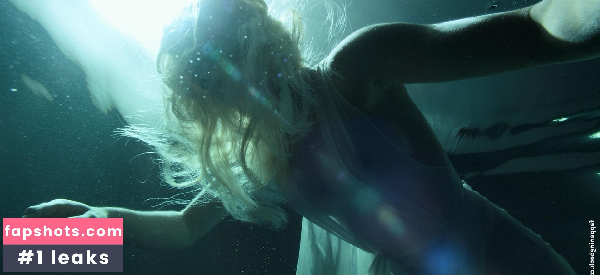 Lisa Chandler gallery photo #17