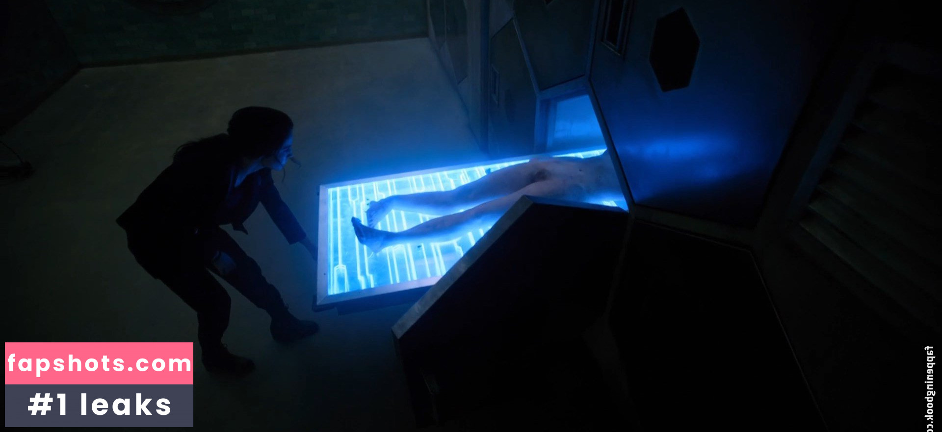 Lisa Chandler gallery photo #4