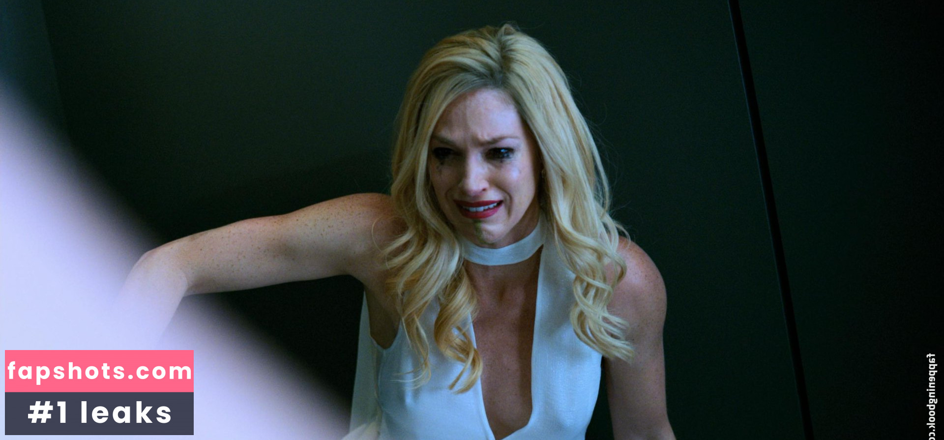 Lisa Chandler gallery photo #7