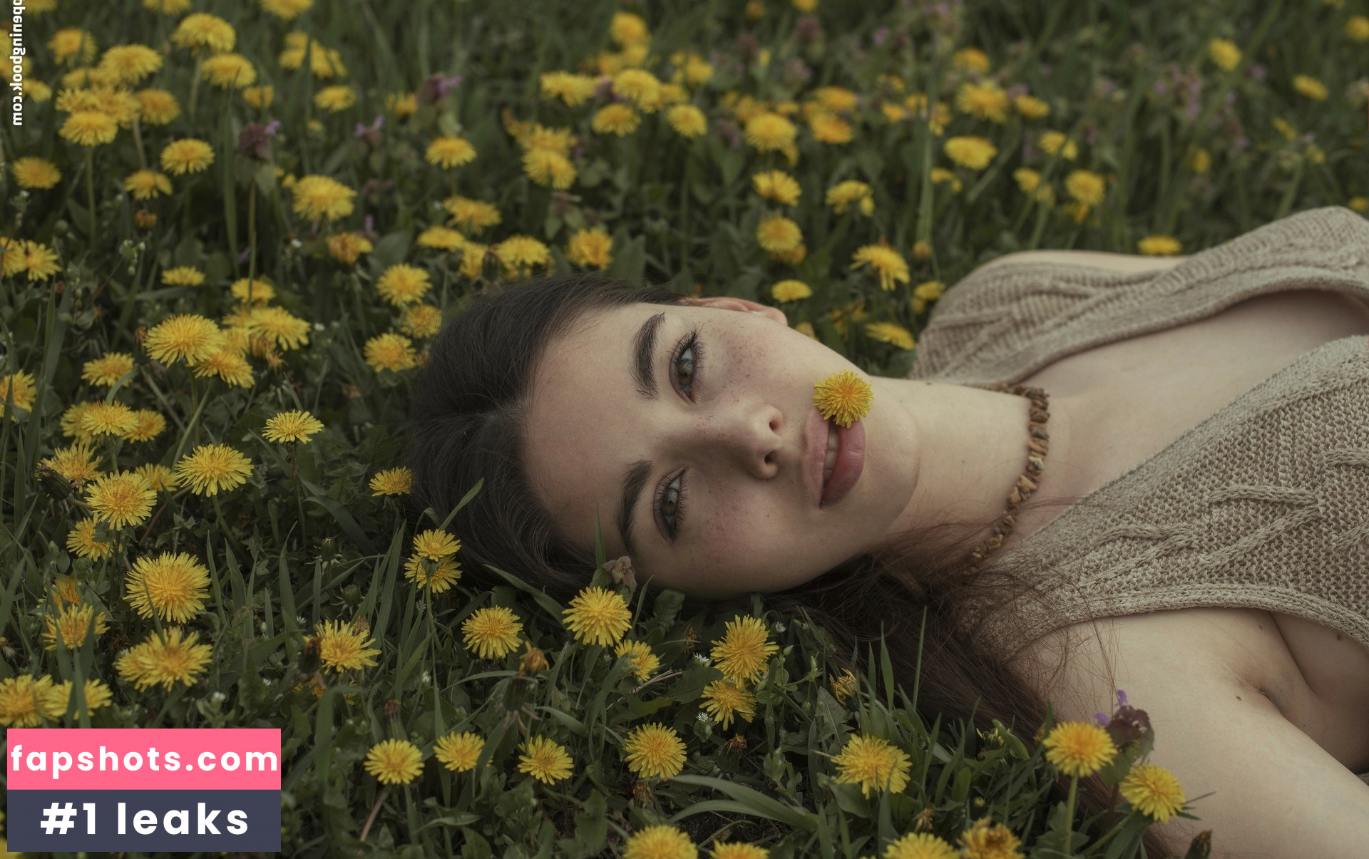 lisa.milashka_ gallery photo #4