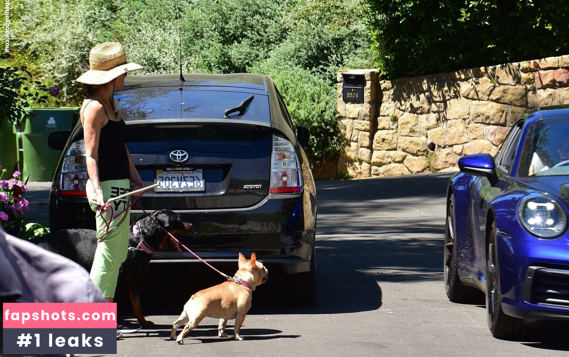 Lisa Rinna Filtración Desnuda OnlyFans Foto #176 - Fapshots