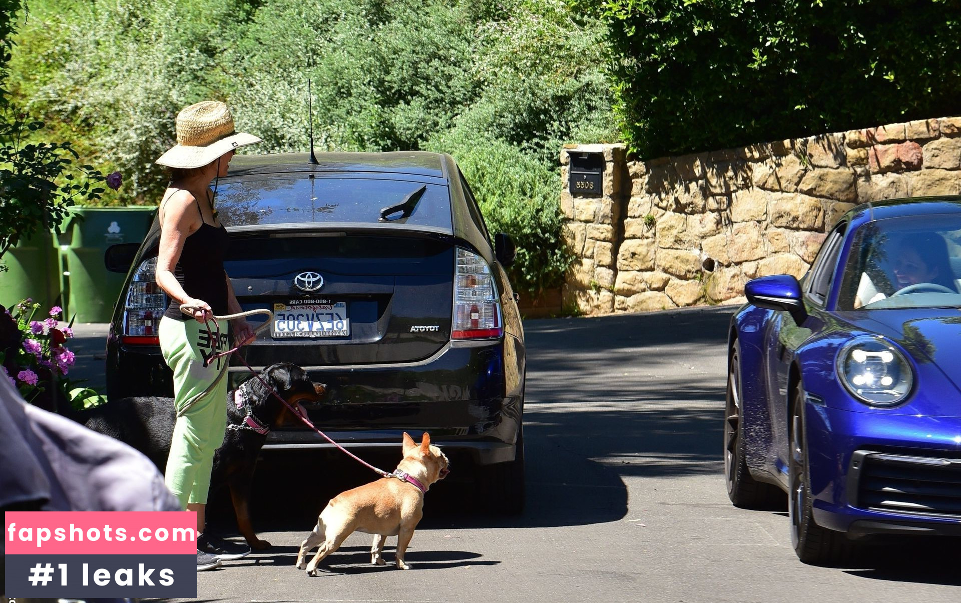 Lisa Rinna Filtración Desnuda OnlyFans Foto #191 - Fapshots