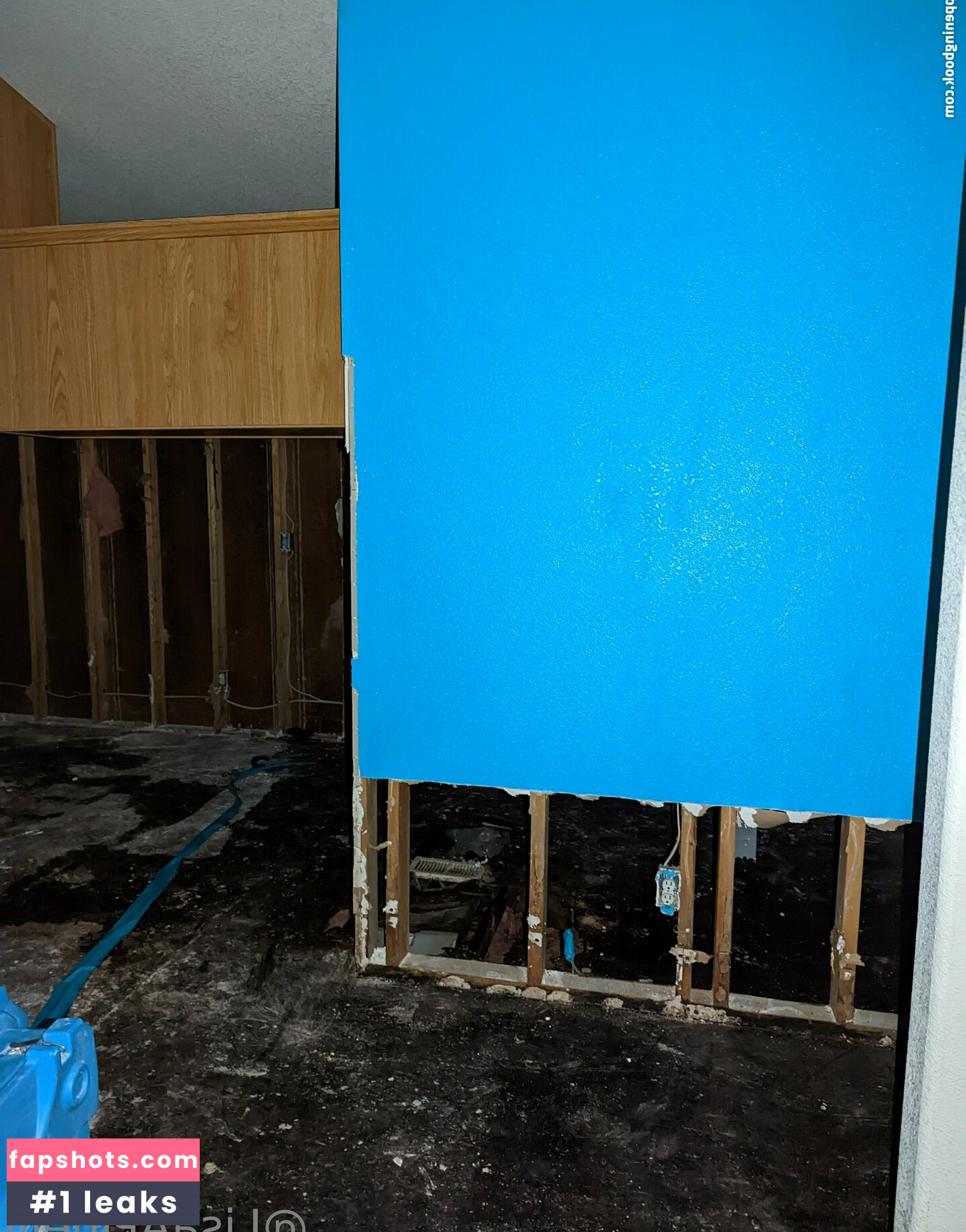 lisaapinelli gallery photo #4