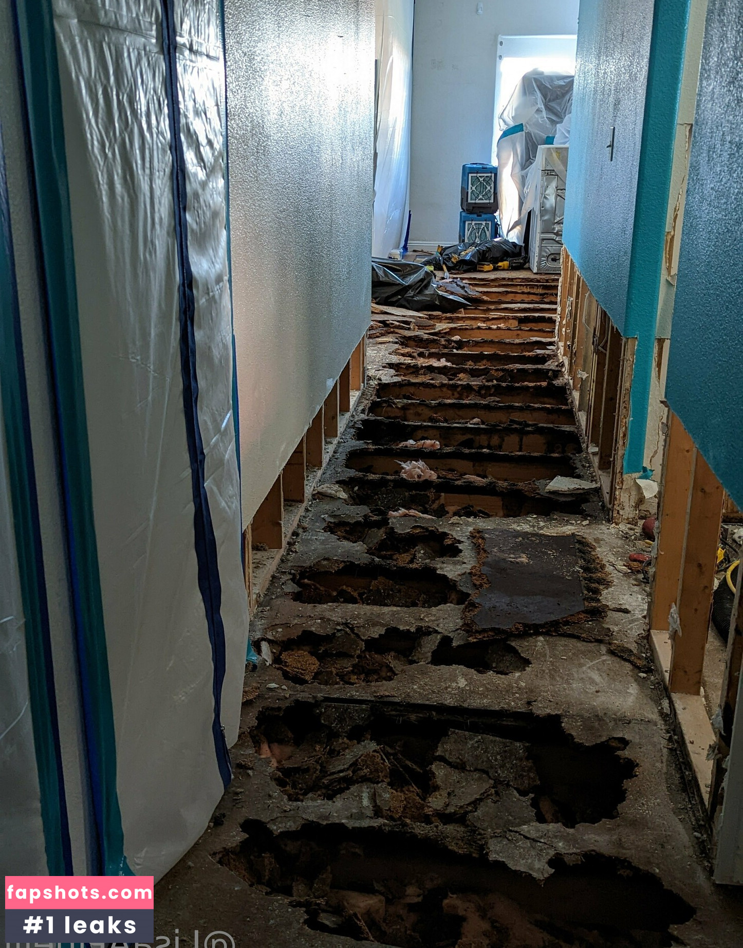 lisaapinelli gallery photo #7