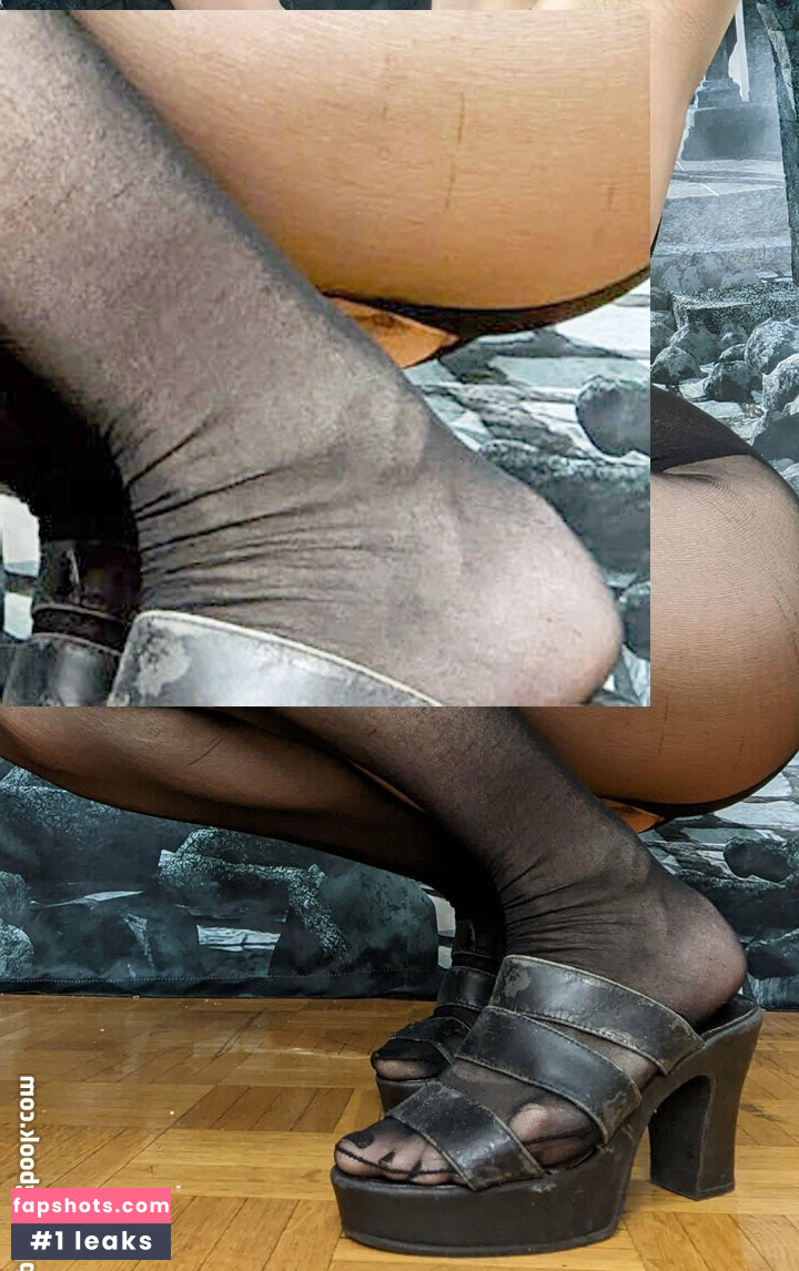 Little Finch gallery photo #27