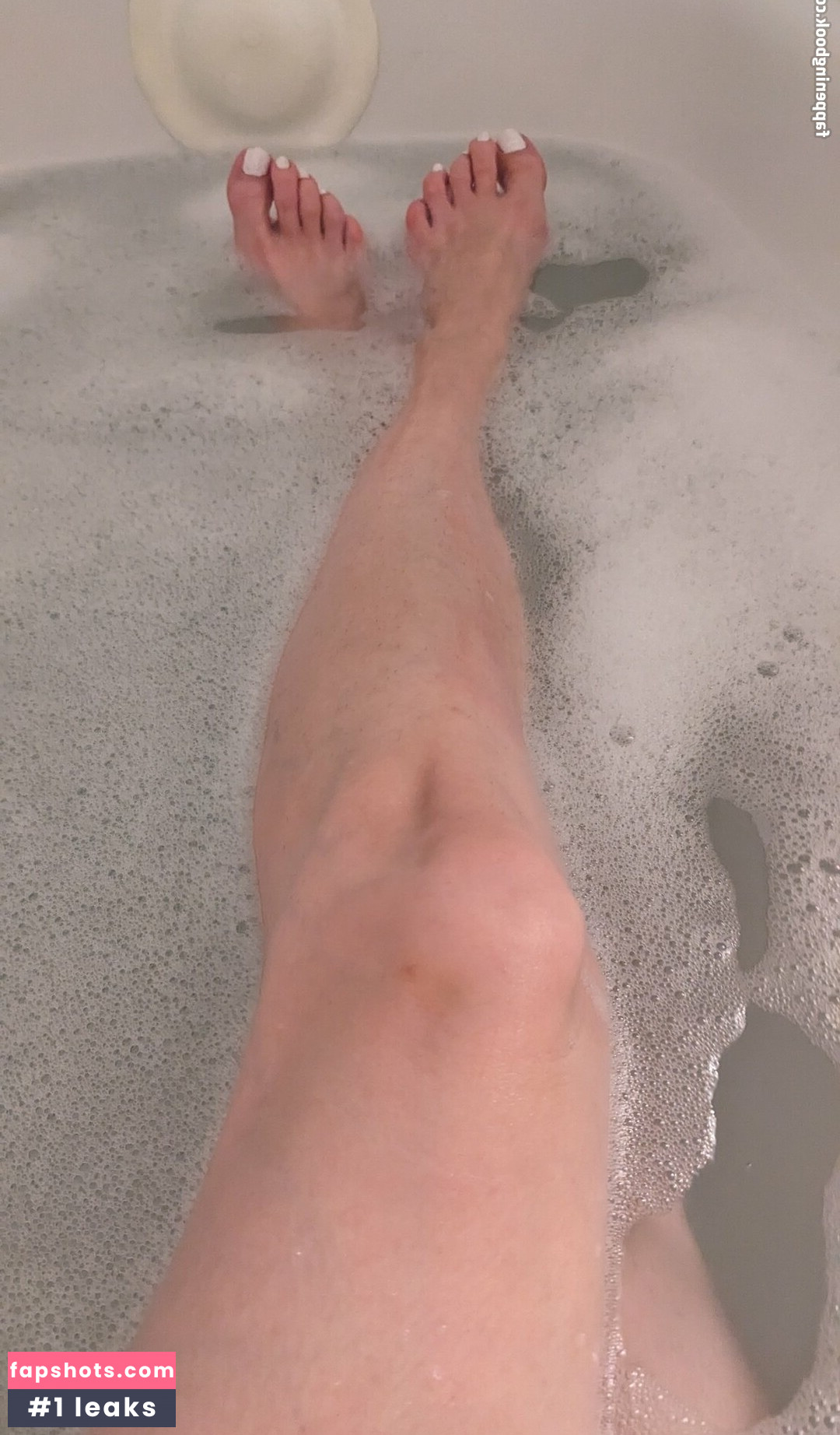 Little Finch gallery photo #42