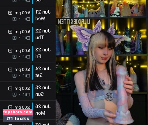 Little Pixie Kitten gallery photo #17