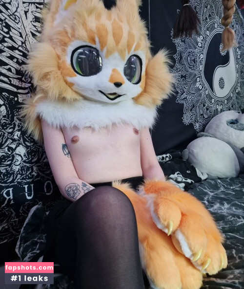 Little Pixie Kitten gallery photo #18