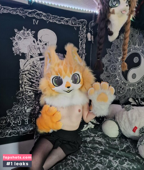 Little Pixie Kitten gallery photo #19