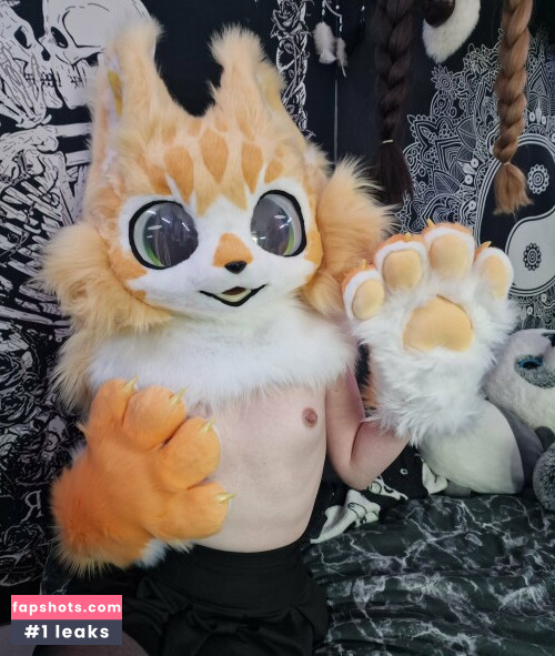 Little Pixie Kitten gallery photo #20