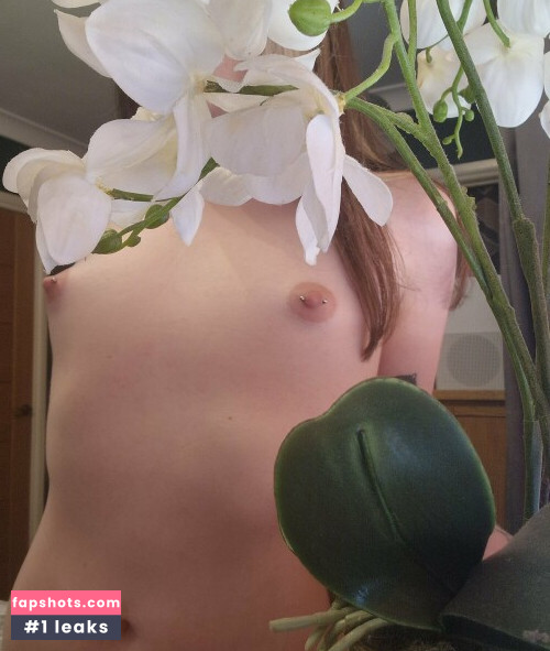 Little Pixie Kitten gallery photo #21