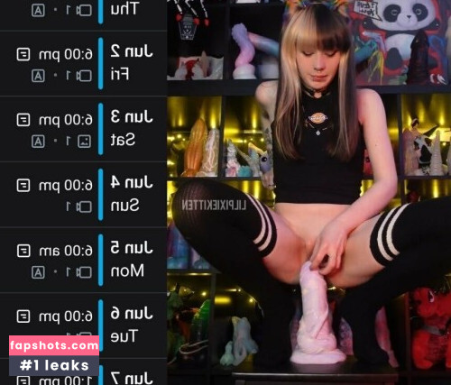 Little Pixie Kitten gallery photo #9