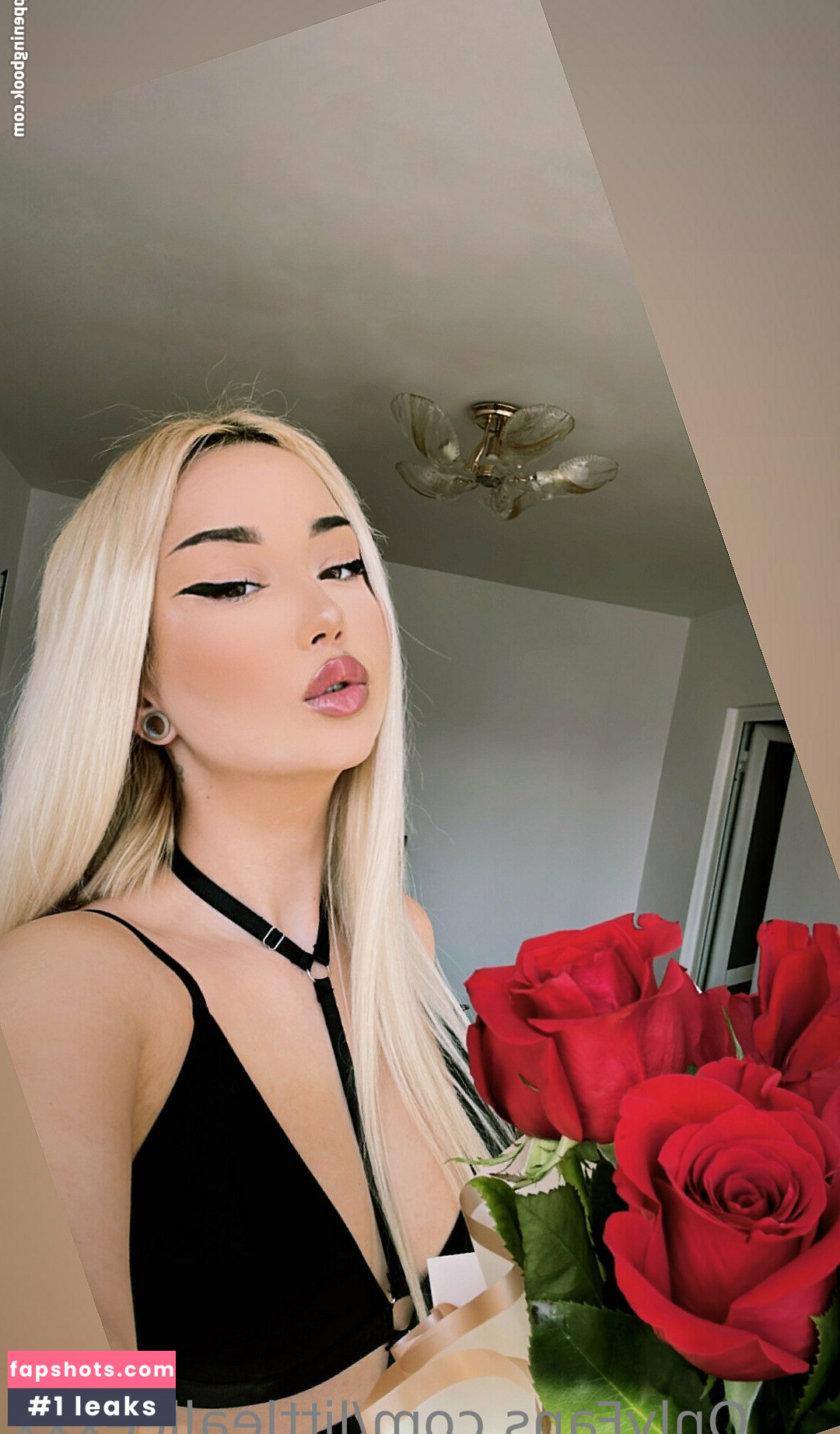 littlealicexxx gallery photo #18