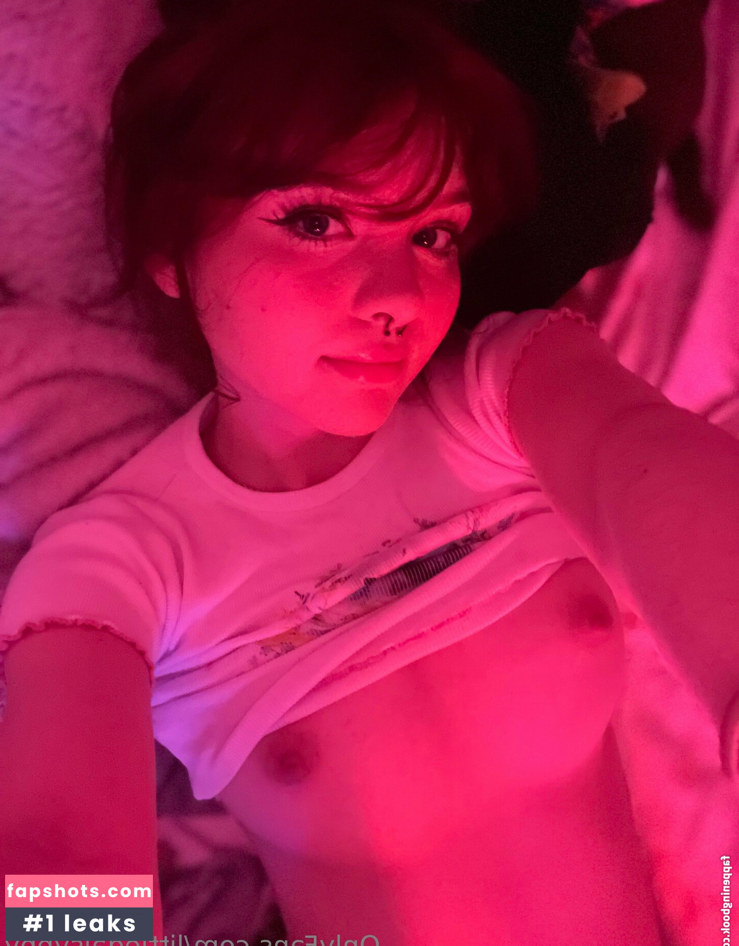 littledaisybby gallery photo #12