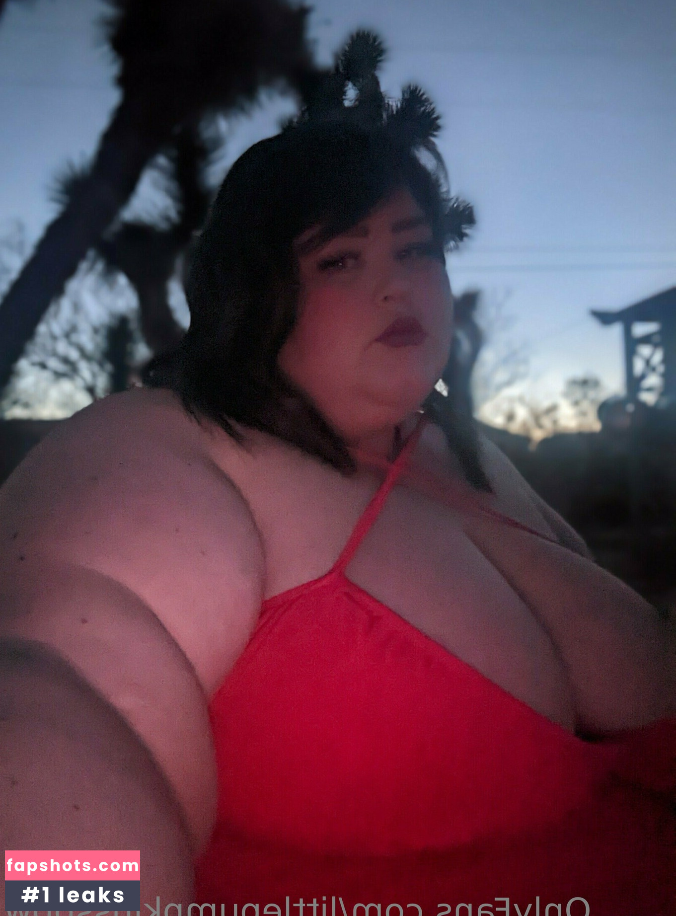littlepumpkinssbbw gallery photo #9