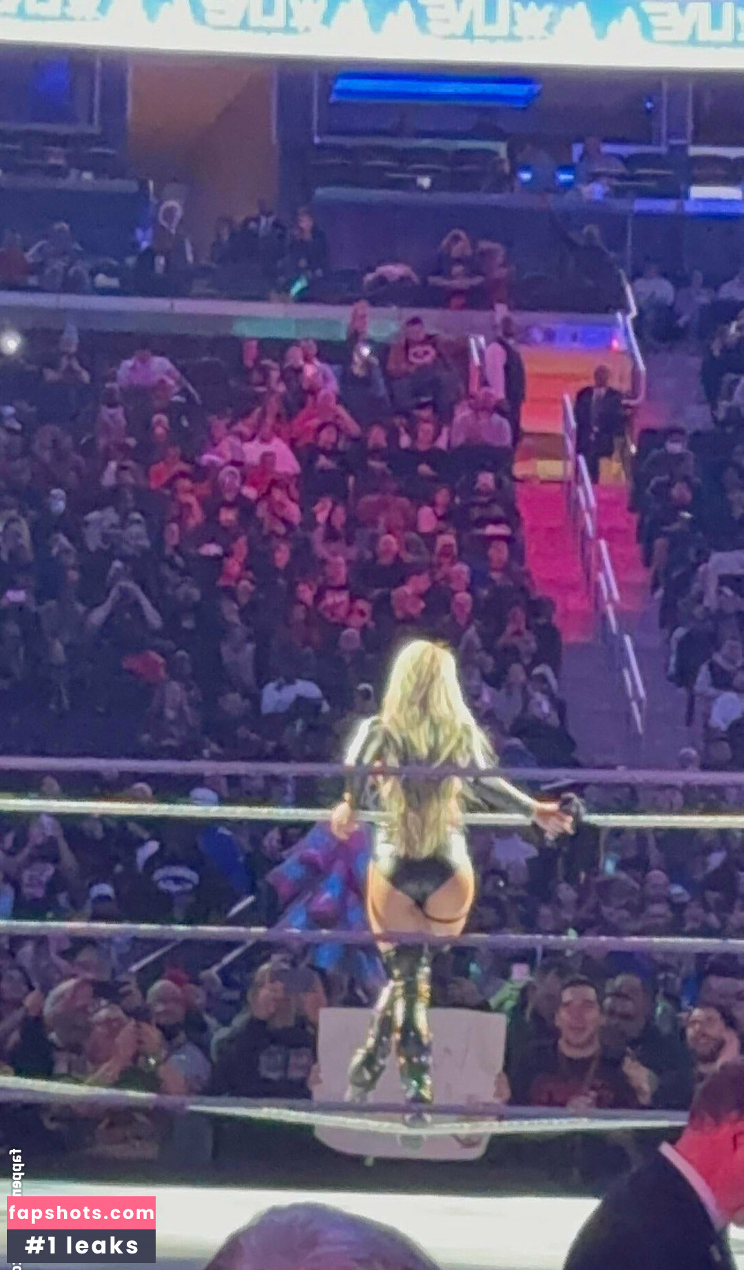 Liv Morgan gallery photo #282