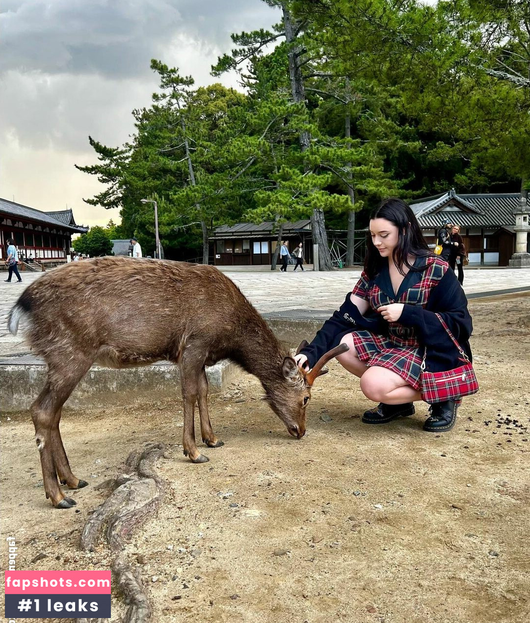 LivBev gallery photo #35