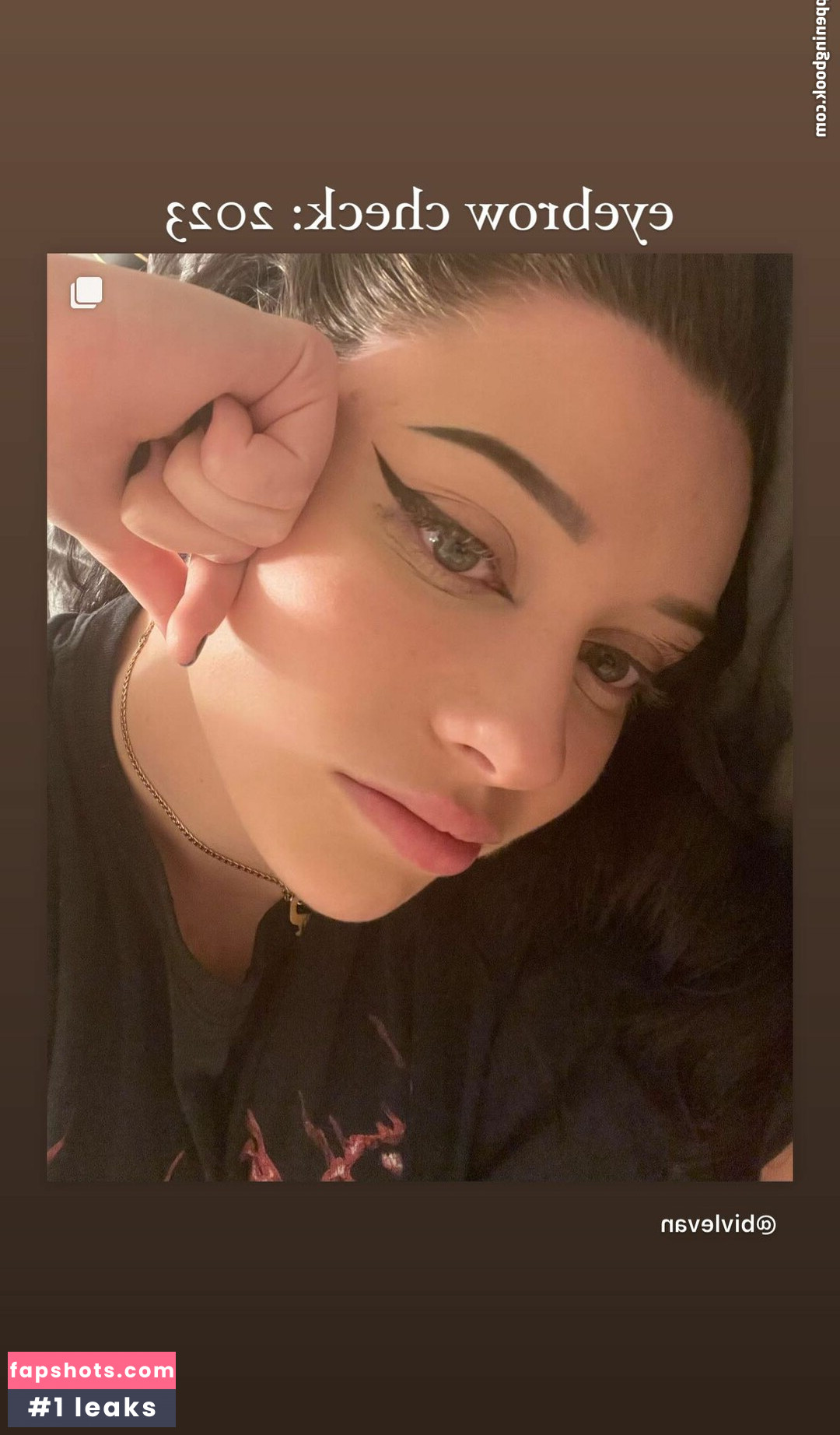 LivBev gallery photo #51