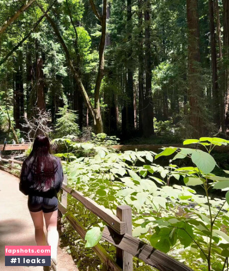 LivBev gallery photo #7