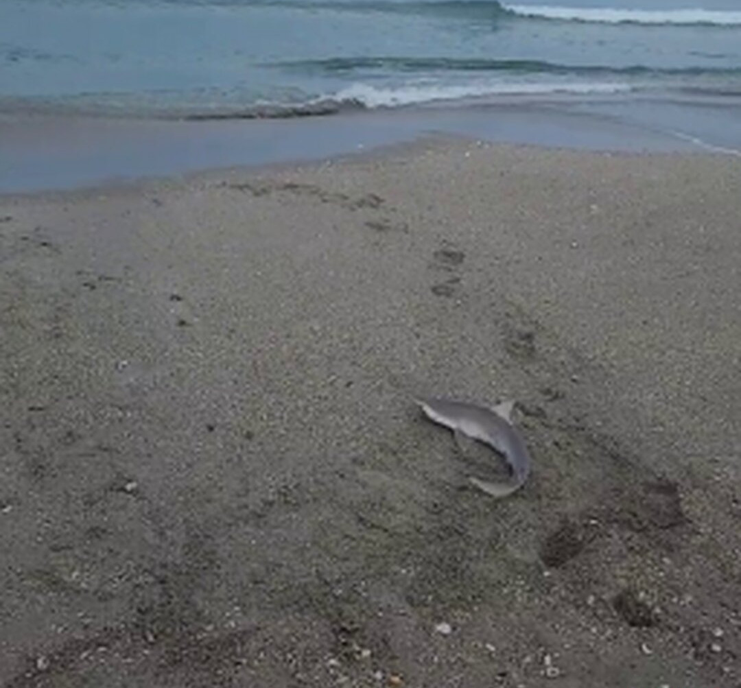 livstixs Filtración Desnuda OnlyFans Foto #284 - Fapshots