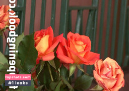 Liza Del Sierra gallery photo #51