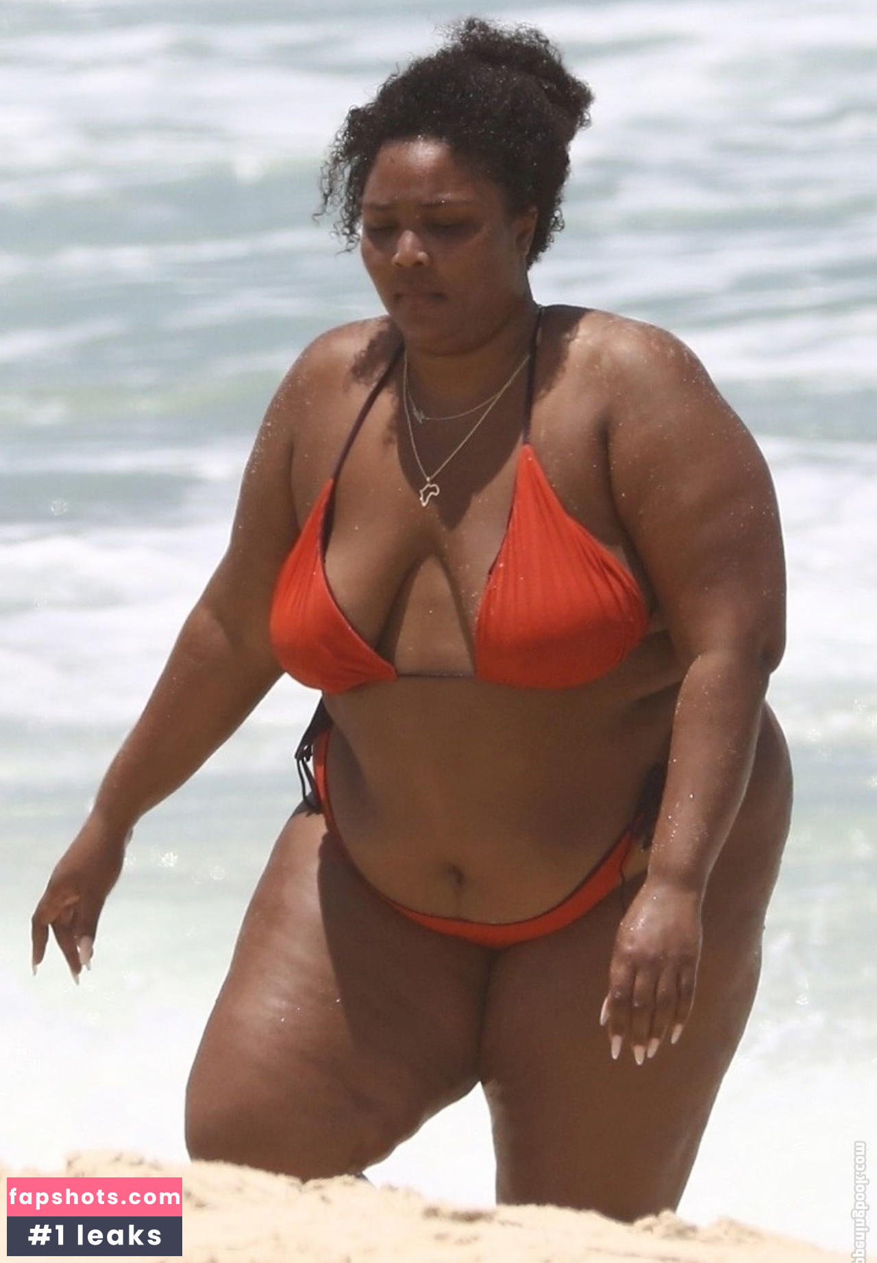 Lizzo Nacktheit OnlyFans Fotos #320 - Fapshots