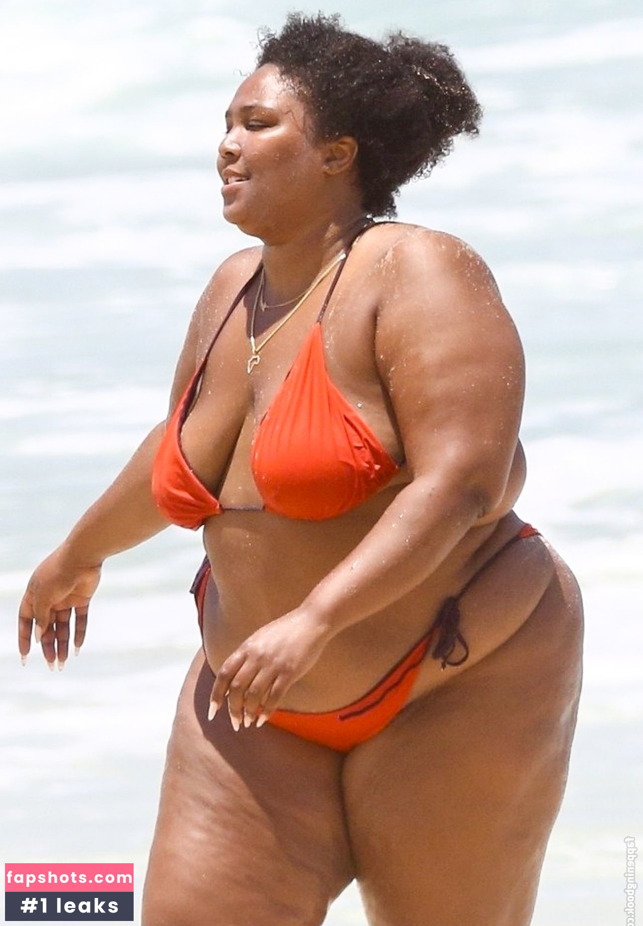 Lizzo Nacktheit OnlyFans Fotos #321 - Fapshots