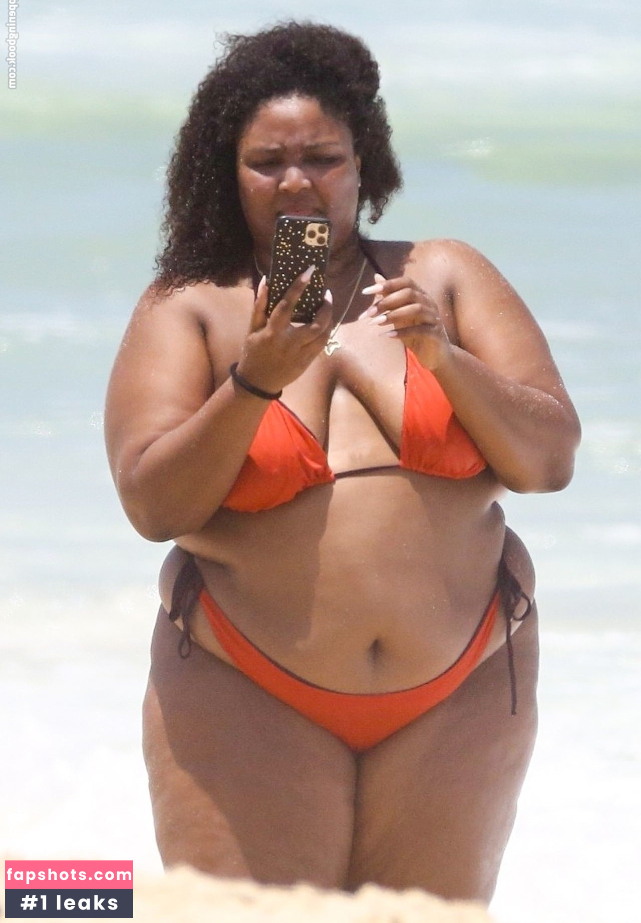 Lizzo Nacktheit OnlyFans Fotos #329 - Fapshots