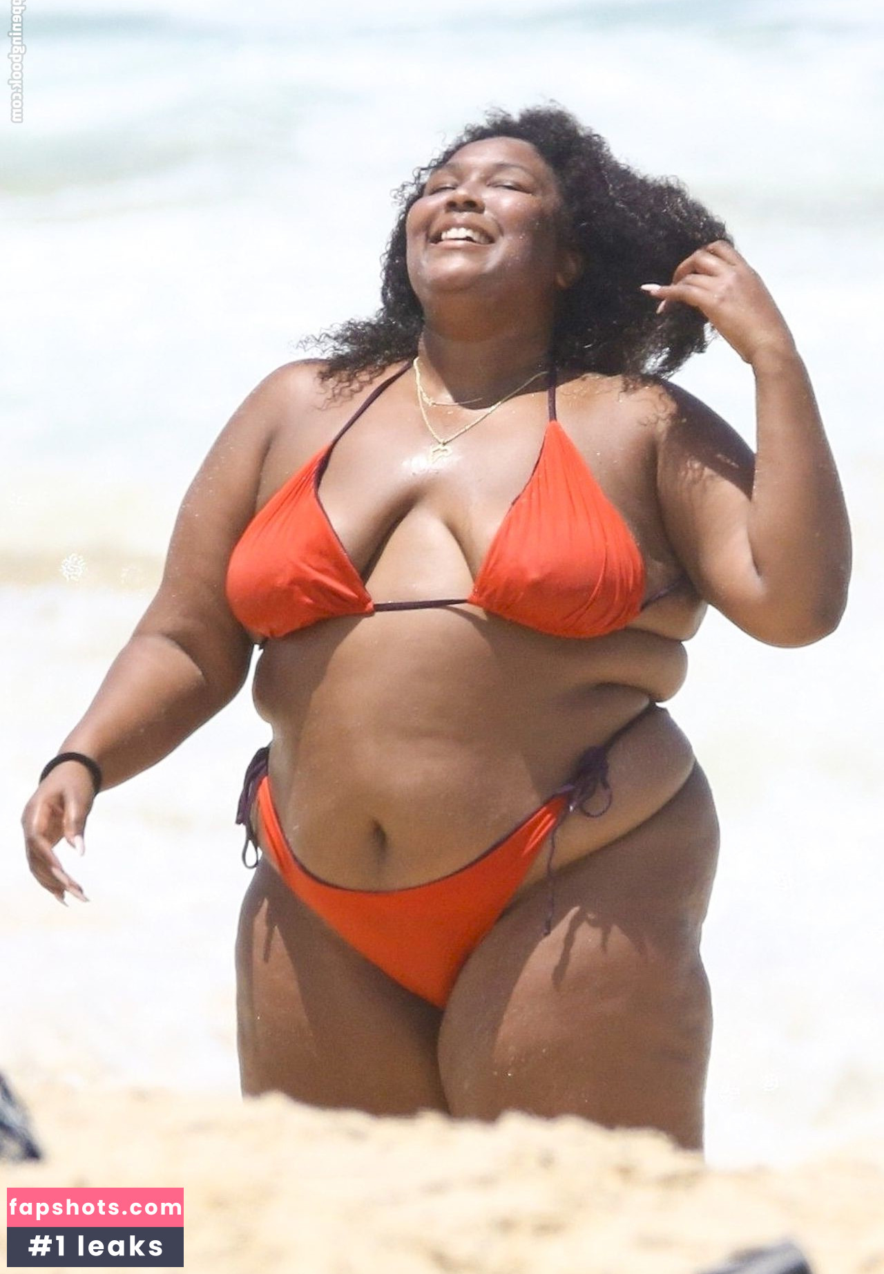 Lizzo Nacktheit OnlyFans Fotos #332 - Fapshots