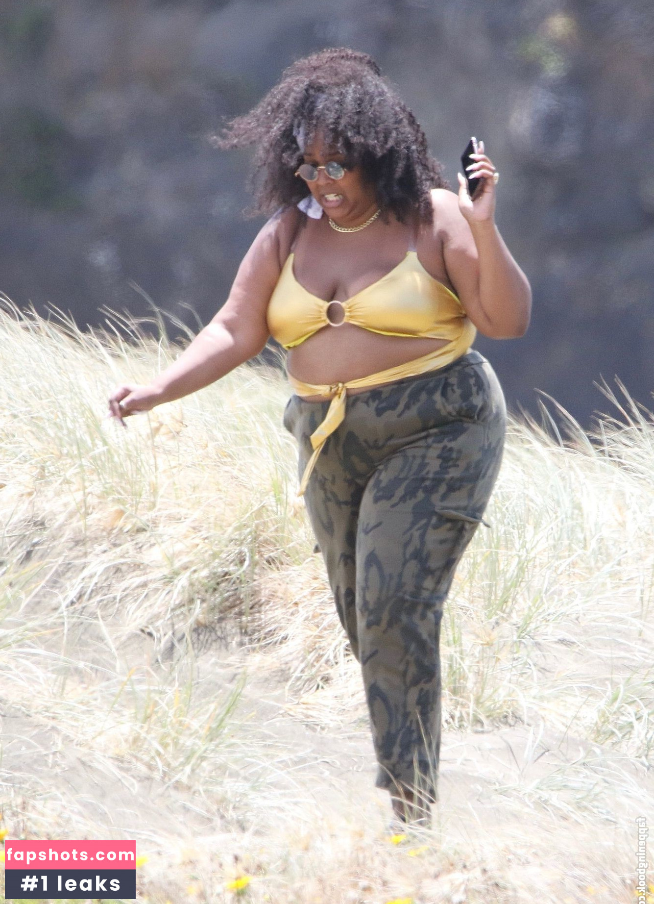 Lizzo Nacktheit OnlyFans Fotos #337 - Fapshots