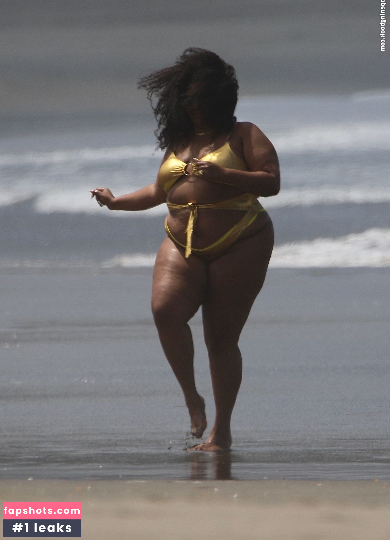 Lizzo Nacktheit OnlyFans Fotos #349 - Fapshots