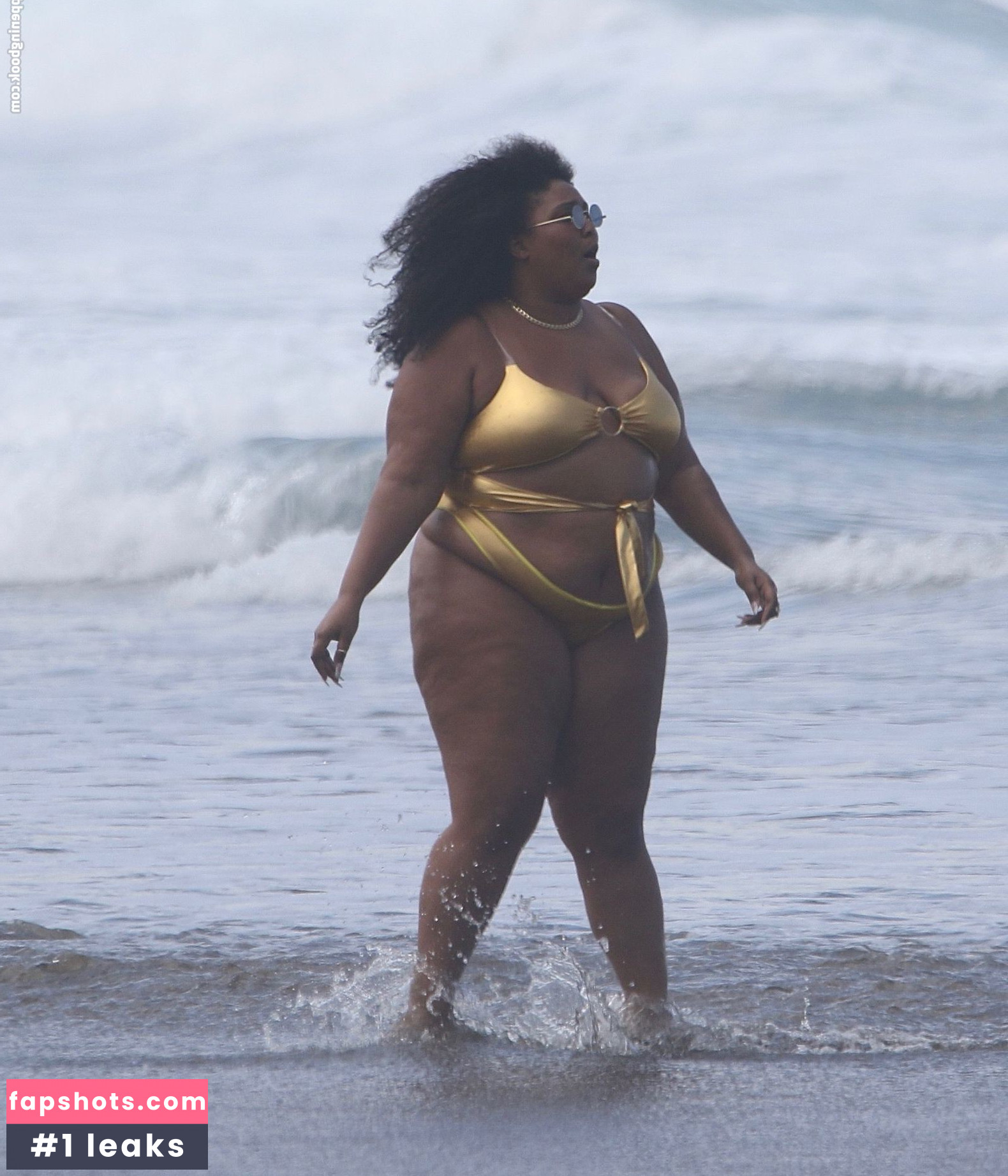 Lizzo Nacktheit OnlyFans Fotos #357 - Fapshots