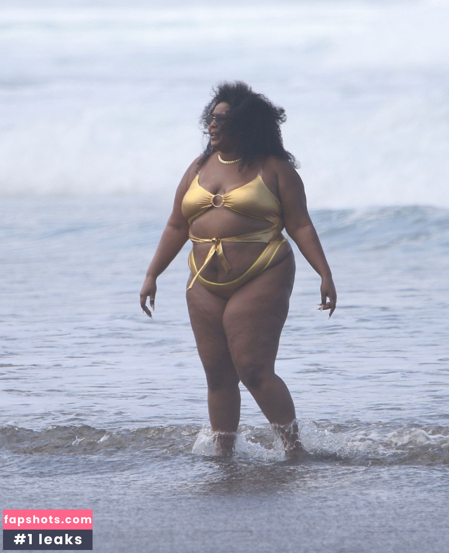 Lizzo Nacktheit OnlyFans Fotos #358 - Fapshots