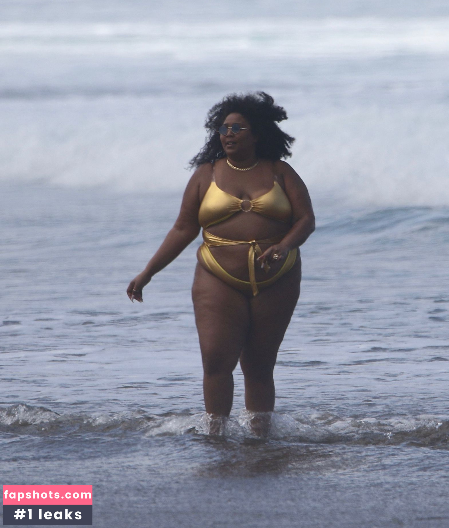 Lizzo Nacktheit OnlyFans Fotos #359 - Fapshots