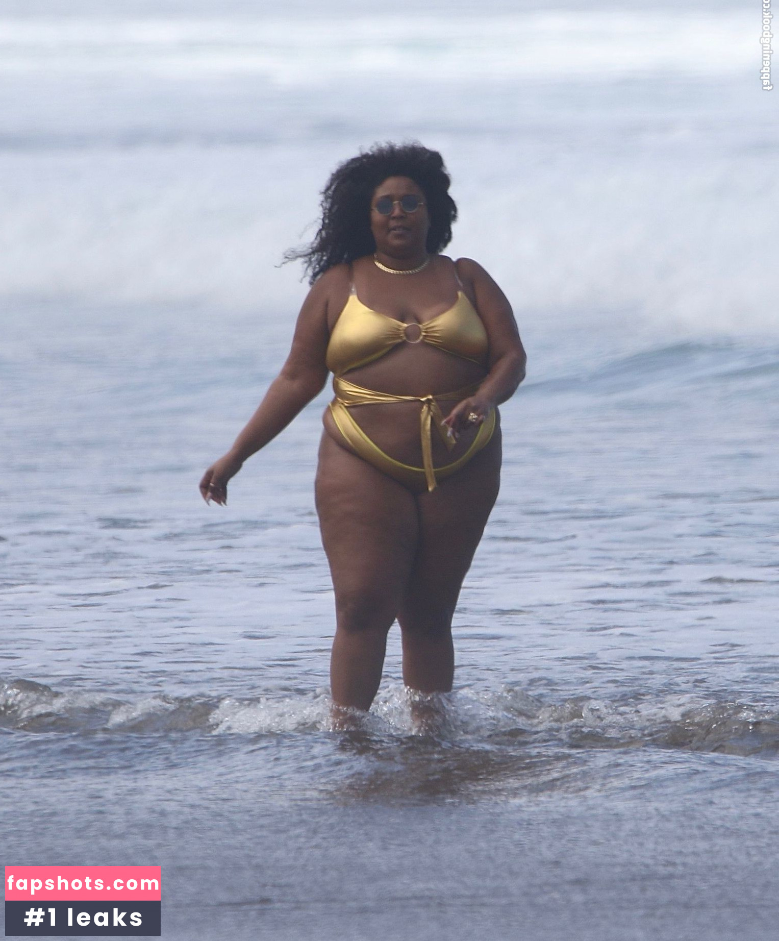 Lizzo Nacktheit OnlyFans Fotos #360 - Fapshots