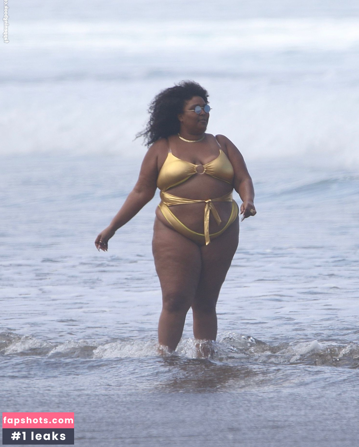 Lizzo Nacktheit OnlyFans Fotos #361 - Fapshots