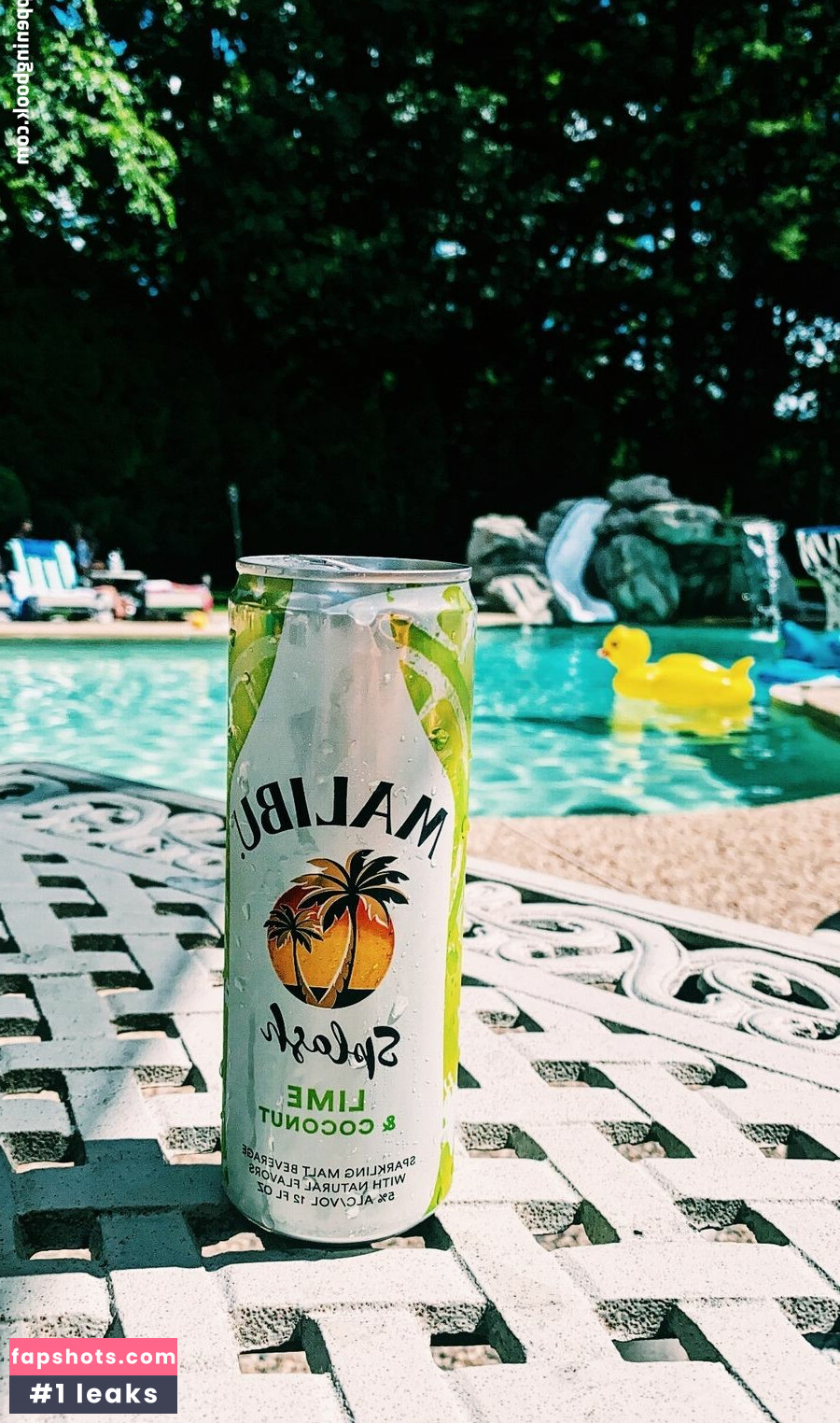 Lizzy Decologero gallery photo #16