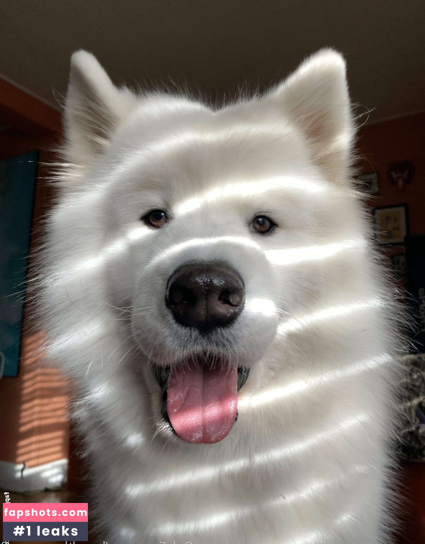 loandthecosmos2 gallery photo #6