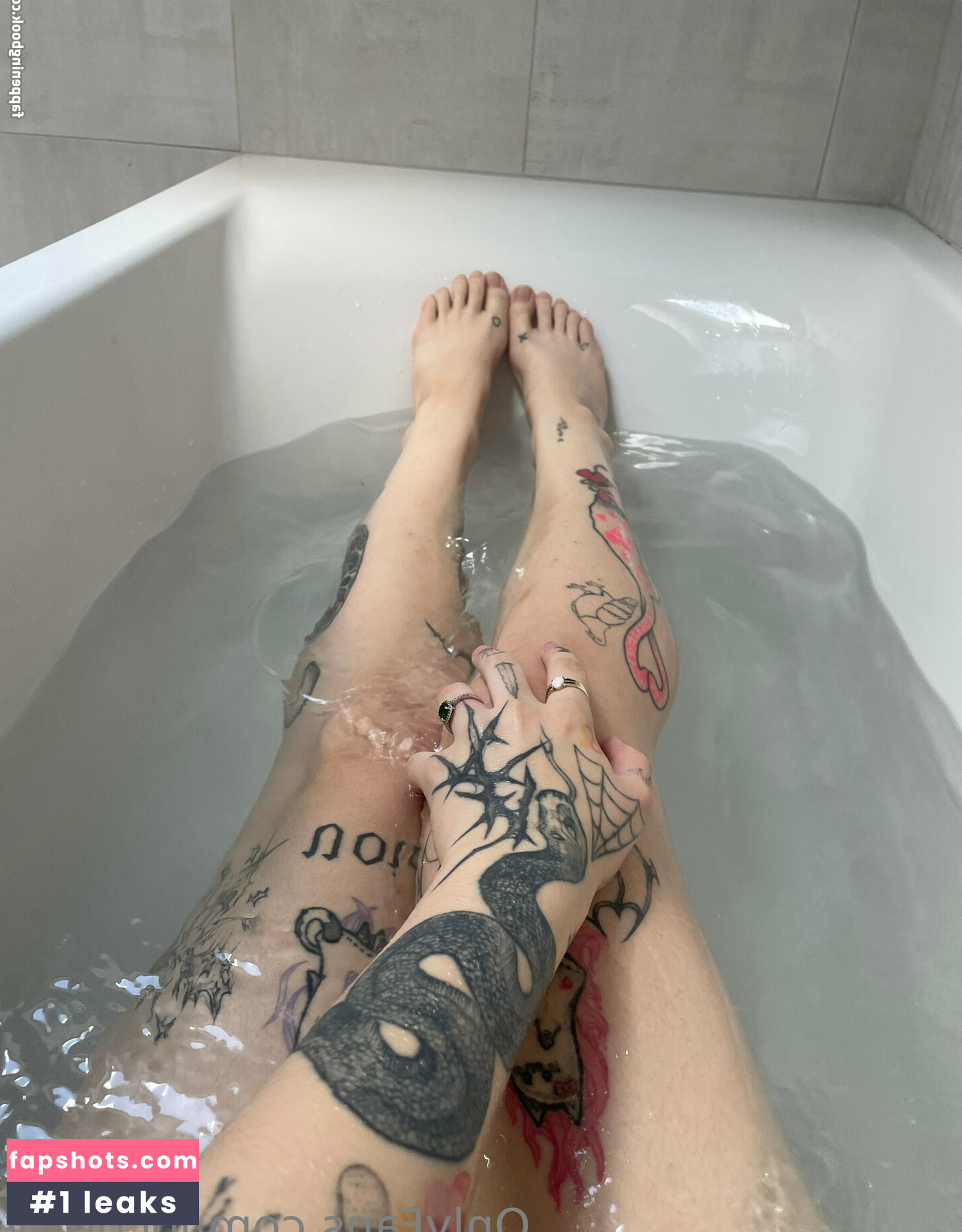 locorory gallery photo #14