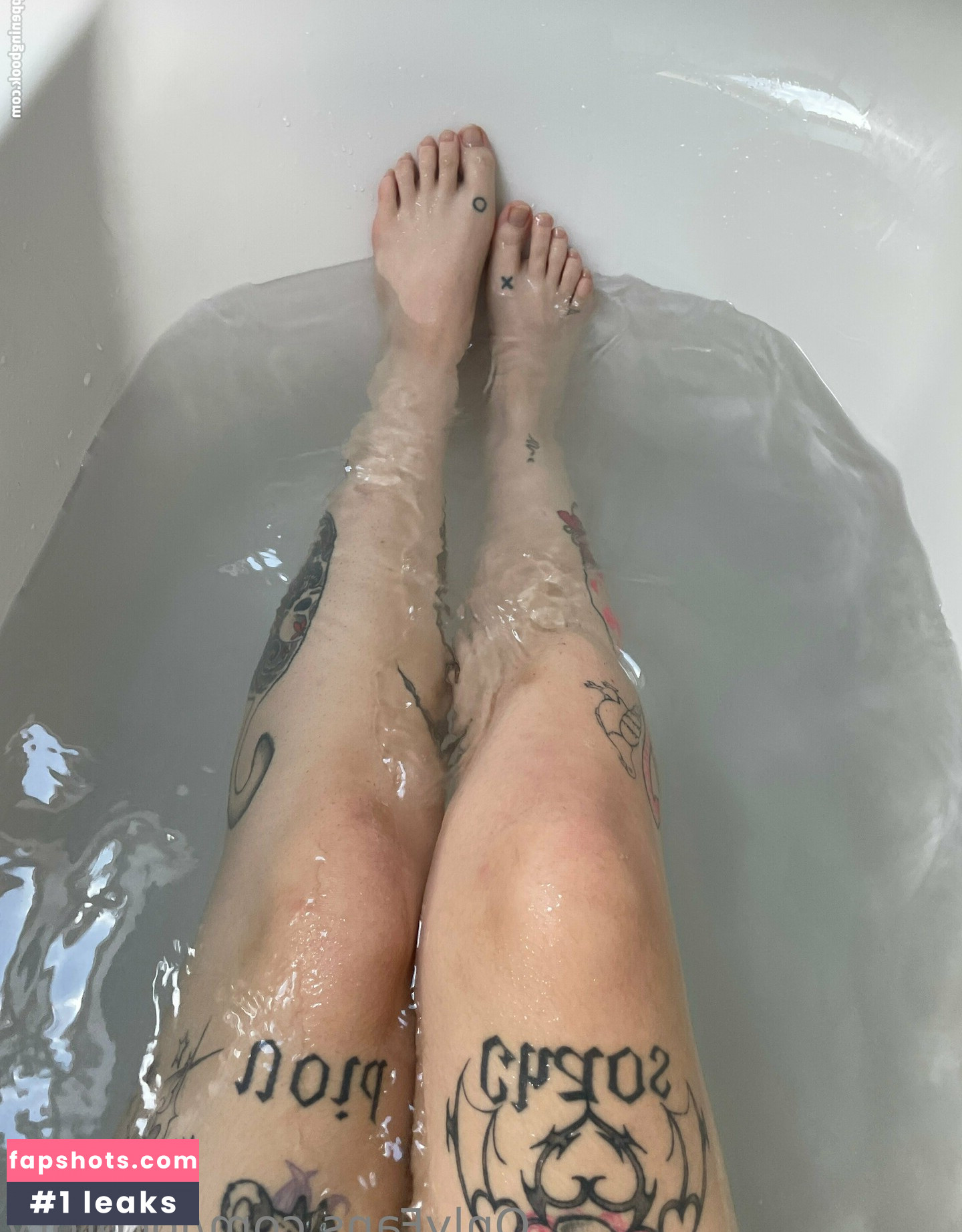 locorory gallery photo #4