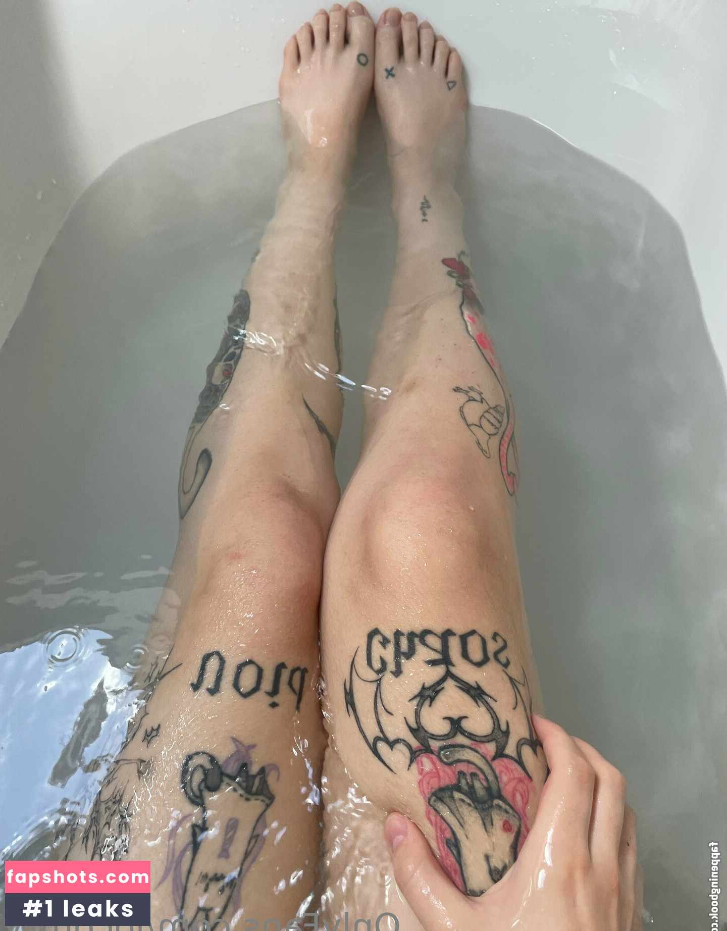 locorory gallery photo #7