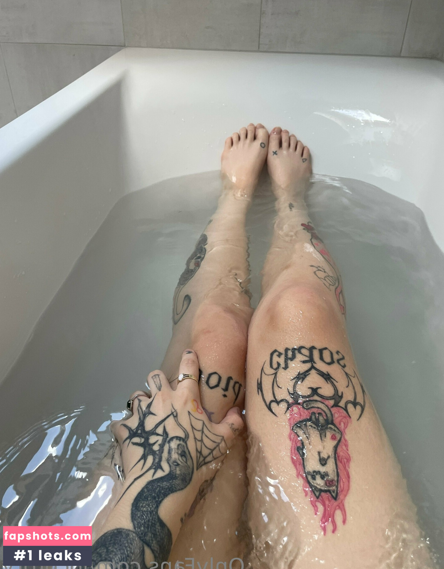 locorory gallery photo #9