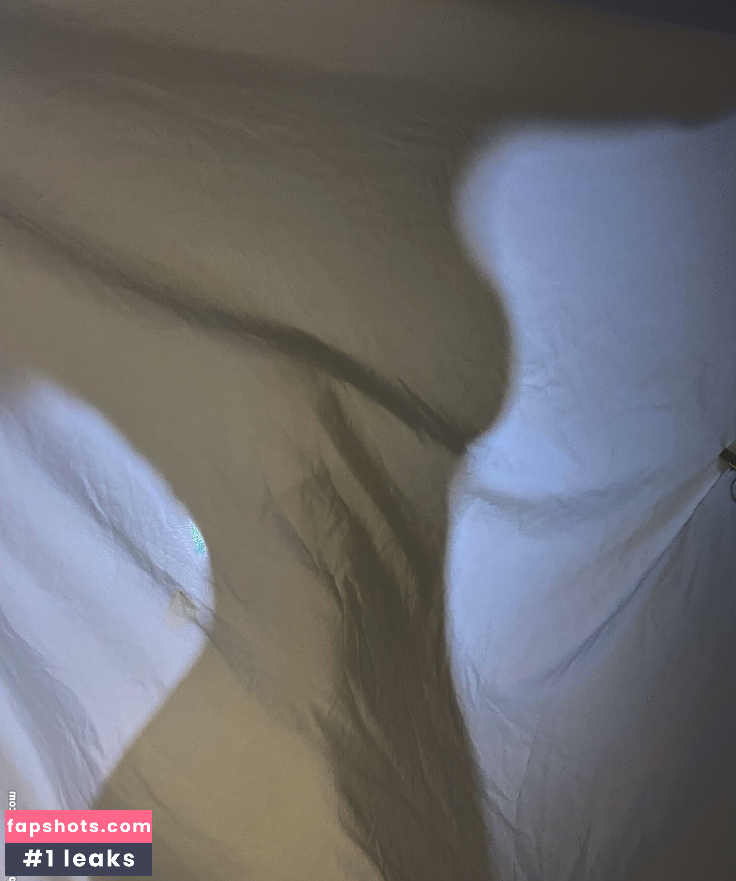 Log in gallery photo #10